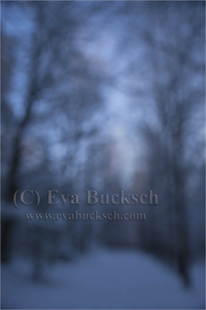 Foto av Eva Bucksch